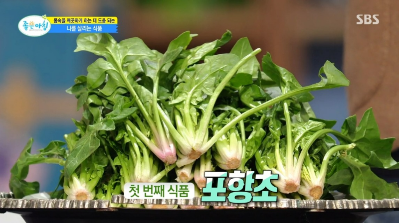 활성 산소 독소 배출 해독 팥 포항초