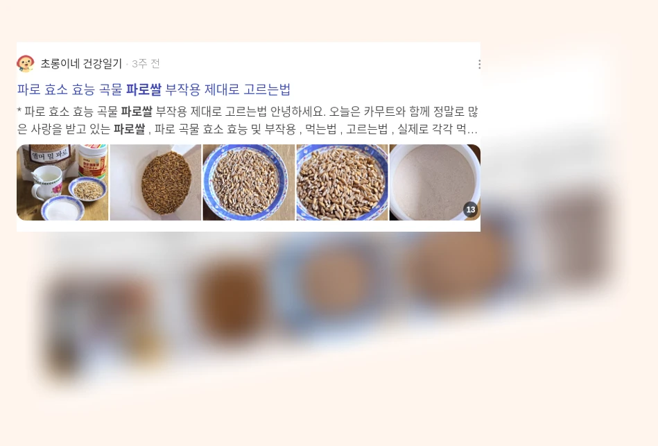 파로쌀_2_subsection