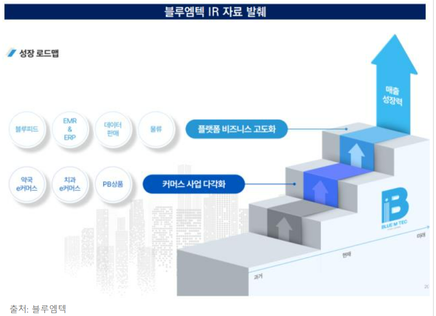 블루엠텍-공모주