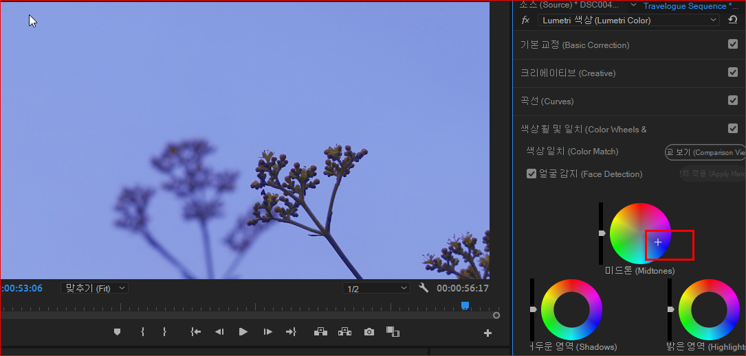 미드톤 수정 후