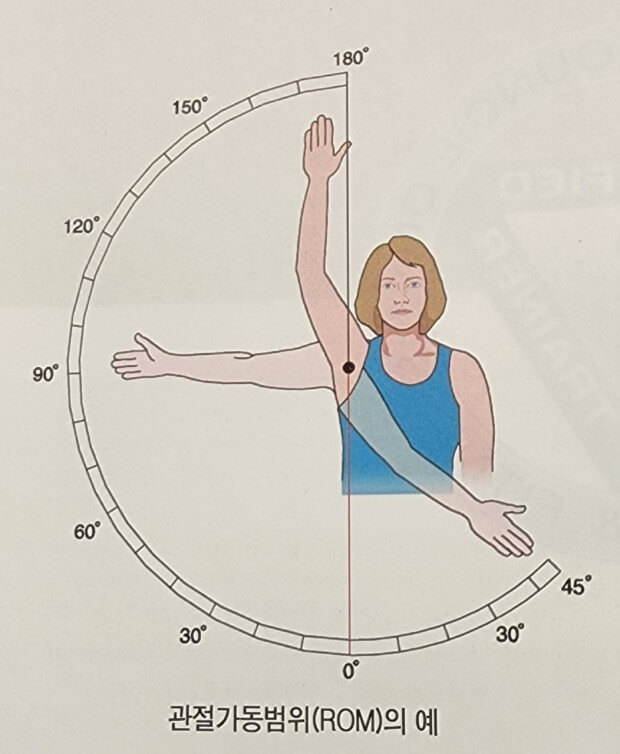 관절 가동범위 확대
