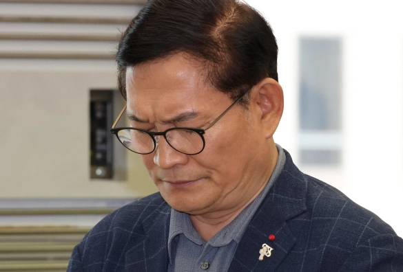 손혜원 소나무당 영입 이유