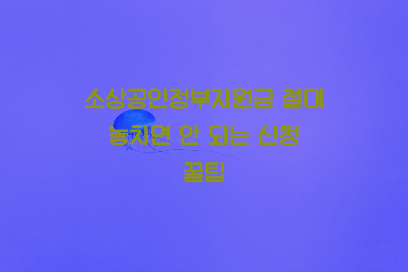 소상공인정부지원금