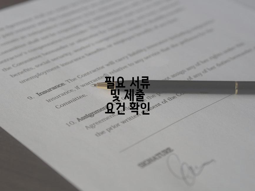 필요 서류 및 제출 요건 확인
