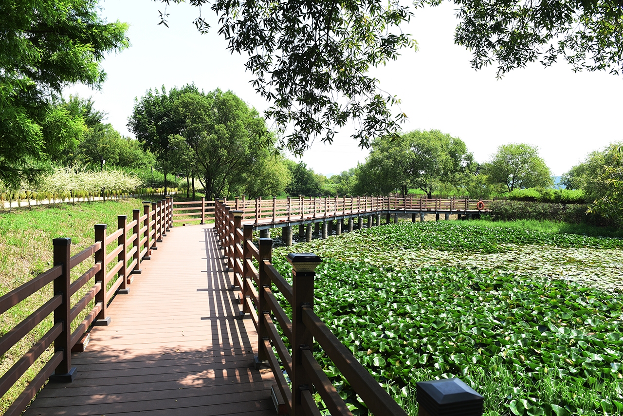 논산 탑정호 둘레길