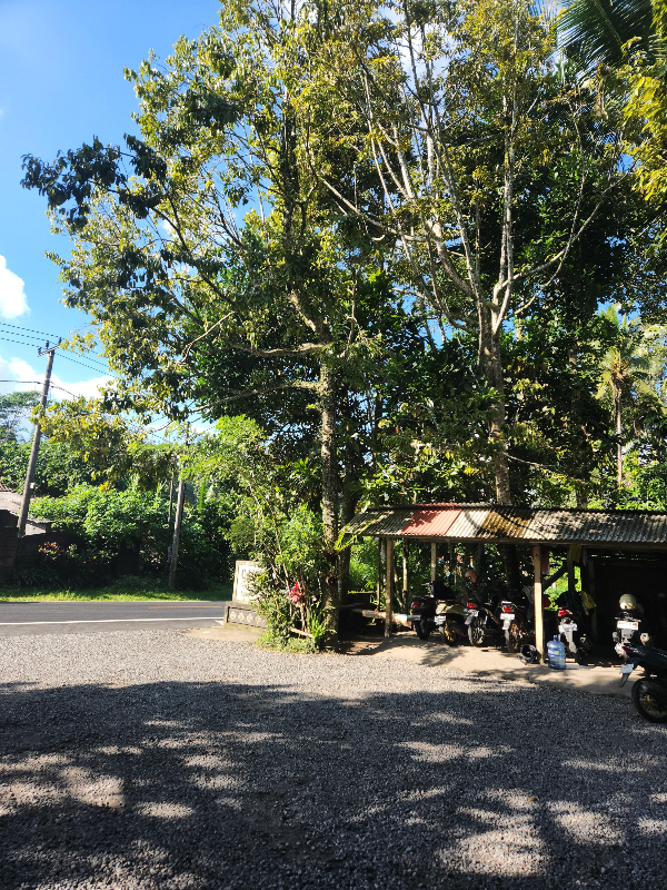 바투르 산 블랙 라바 지프투어 &amp; 루왁 커피 농장 방문기_루왁 커피 농장_입구