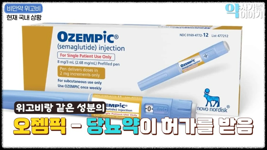 비만 치료 효과-오젬픽과 위고비의 놀라운 증명