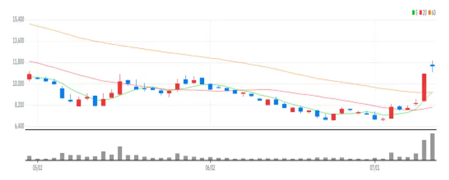 한국비엔씨 차트