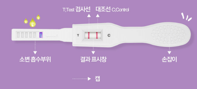 세이플리 테스트기 부분별 명칭