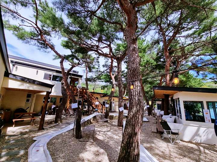 속초 영랑호 가게 피넛 모카크림 라떼 디저트 커피 가족 여행 미니 골프 체험 믿고 떠나는 스타 전원주 고향 보광미니골프장 with 카페18홀 맛집 추천