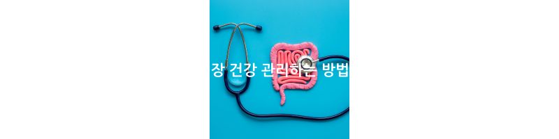 장 건강 관리하는 방법