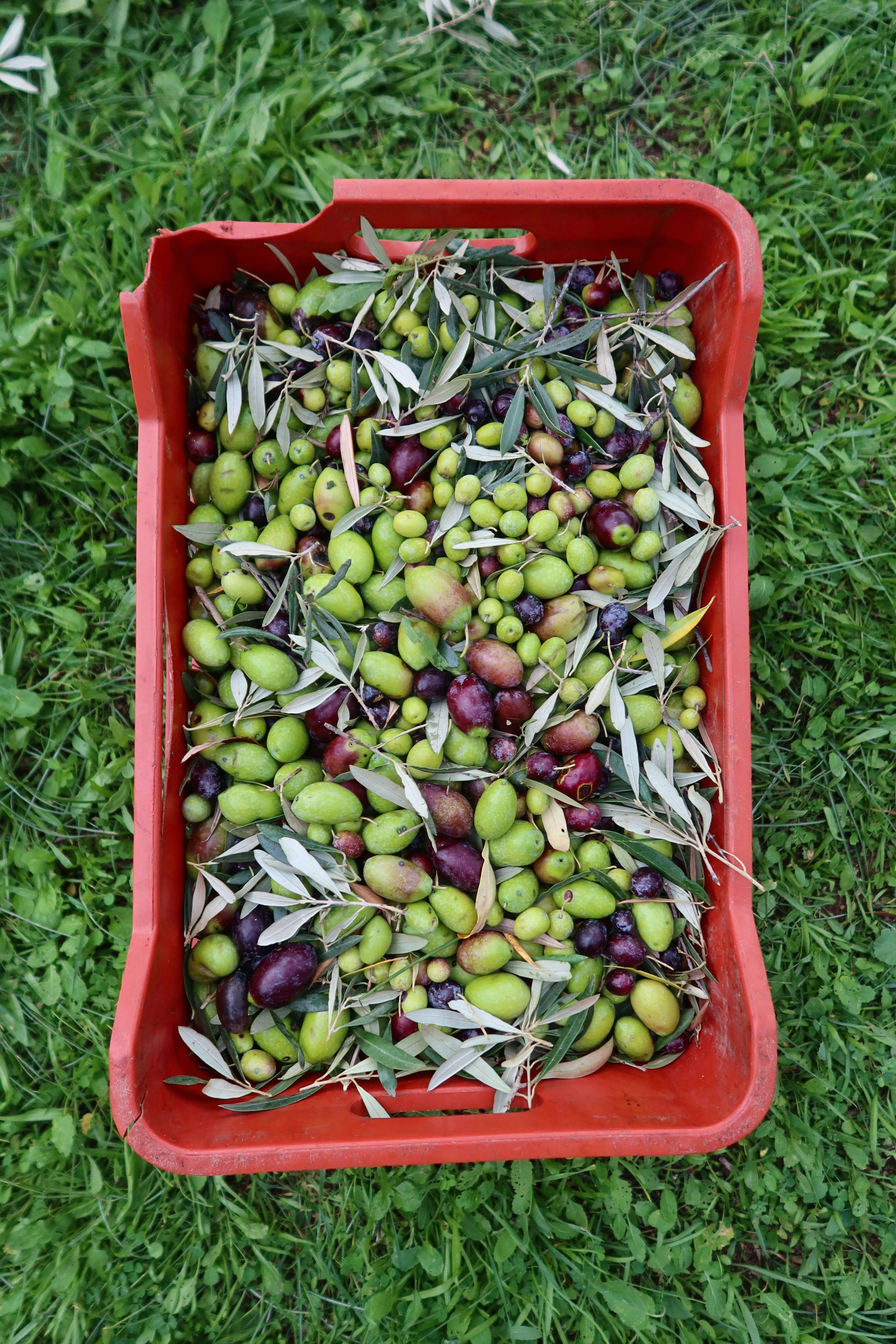 농업직불금 신청자격 완전 정리|누가 받을 수 있을까