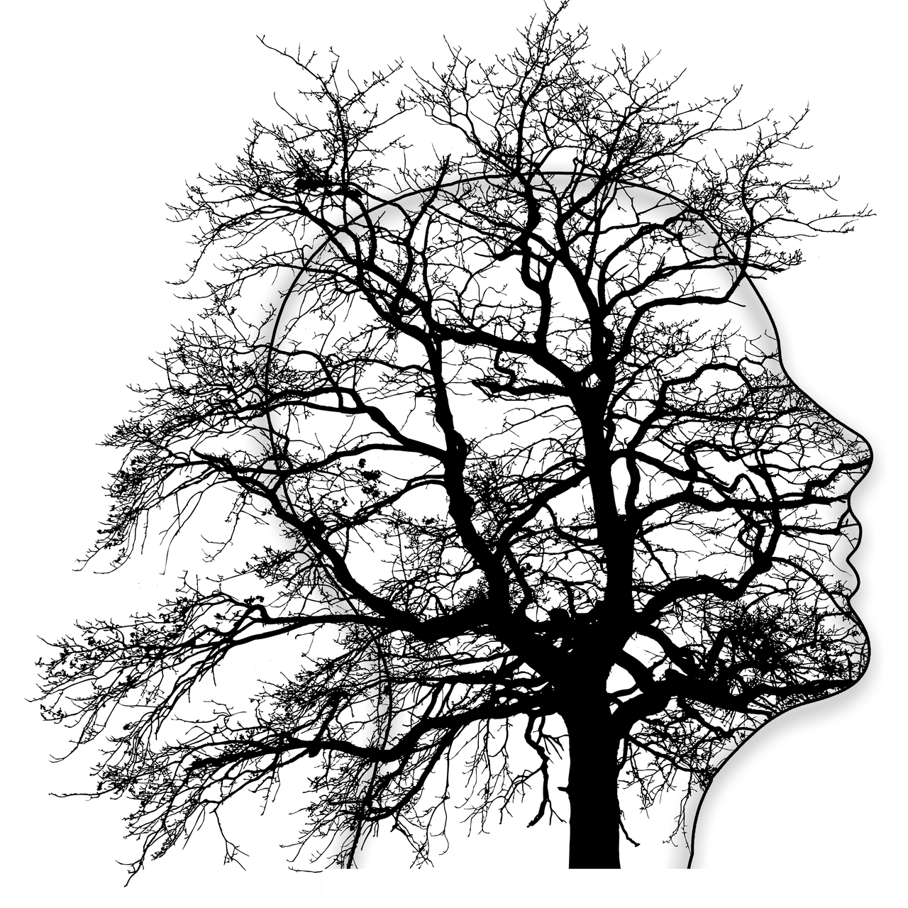 다중우주 이론과 잠재의식 – 선택과 사고가 다른 가능성의 현실을 창조하는 과정