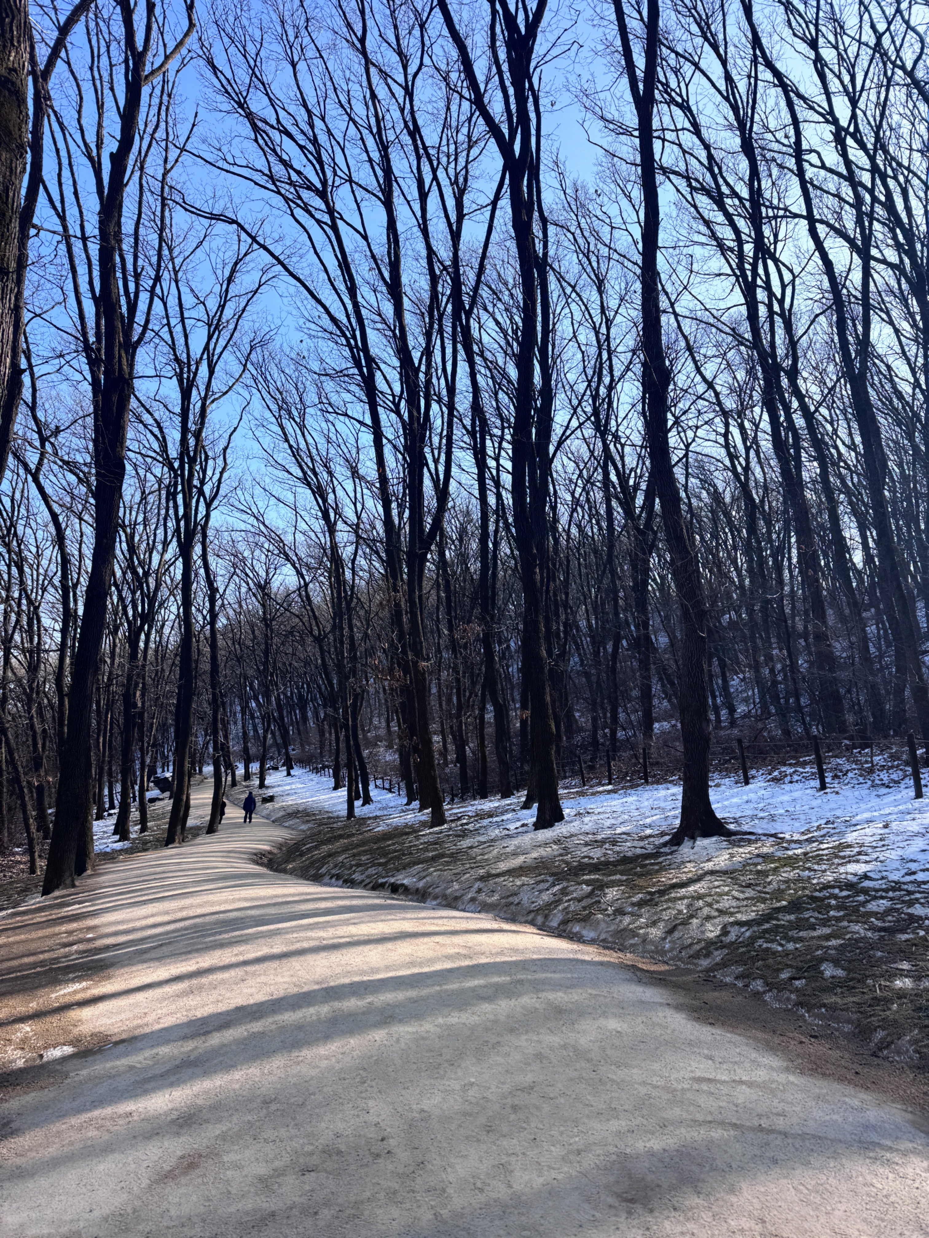 김포 장릉 산책길 겨울 풍경