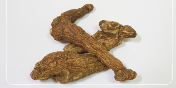 둥글레차의 효능 : 효과적으로 먹는 법6