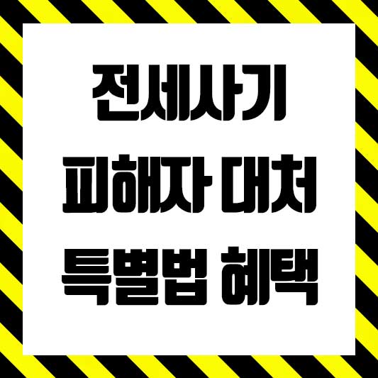 전세사기 대책