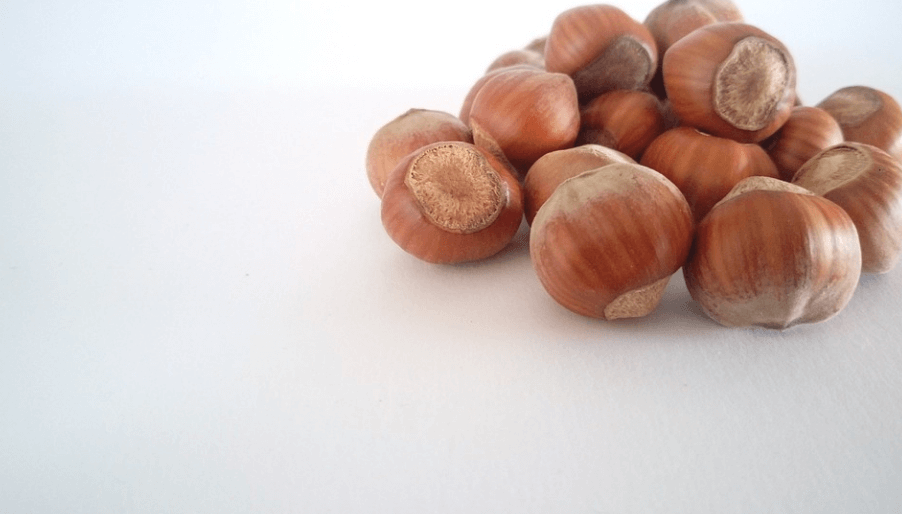 헤이즐넛 효능에서 헤이즐넛 여러 개가 놓여 있다