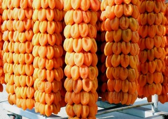 제8회 지리산함양 고종시곶감축제 소개(이찬원 김희재 출연)