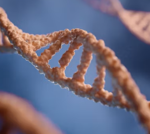 고지혈증 증상 원인 예방법 음식