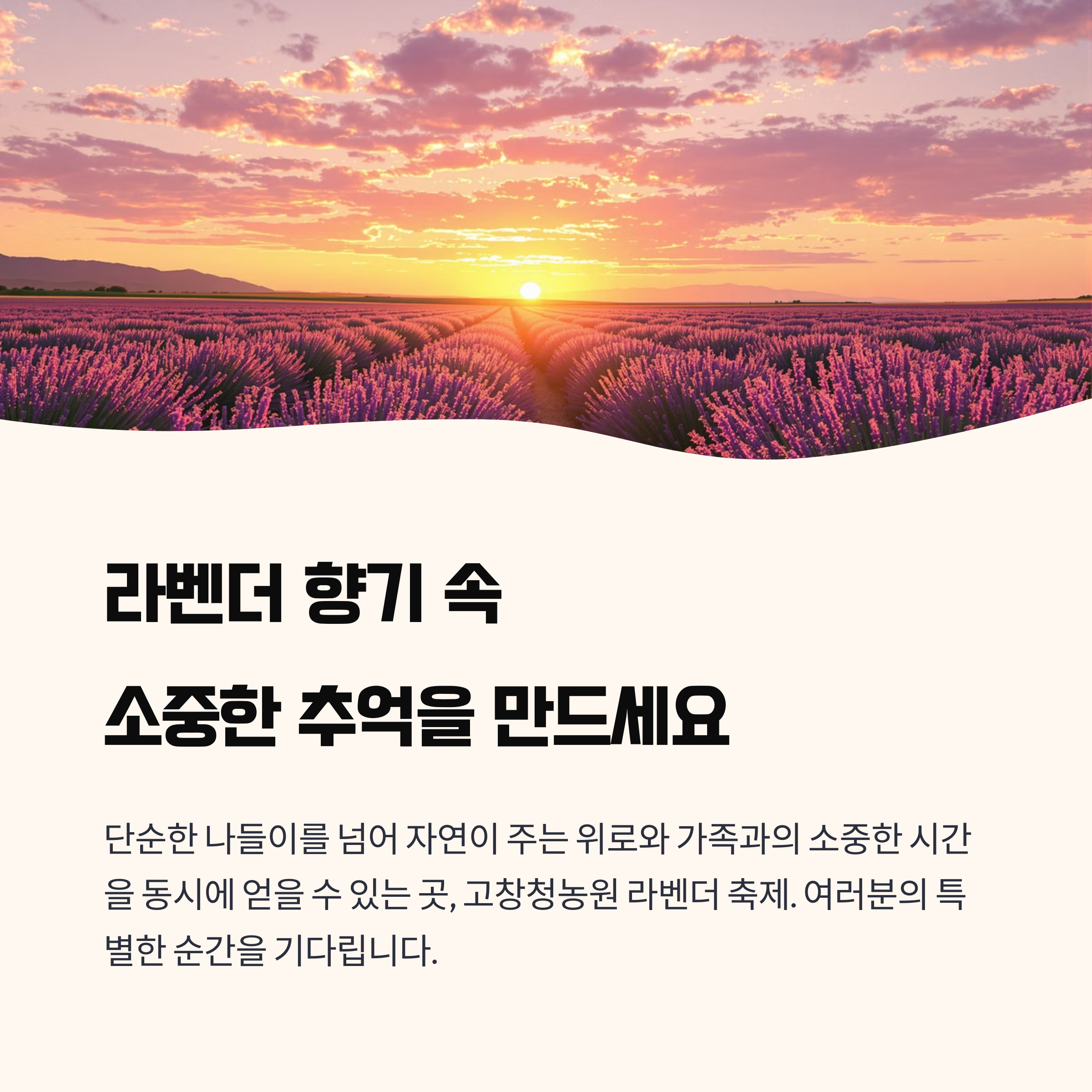 추억을 만들어 보세요