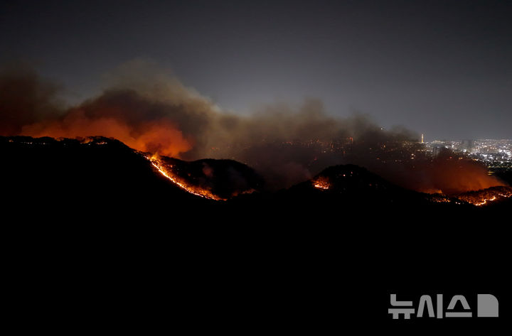 대구 함지산 산불 현황 대응 조치 및 피해 상황