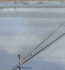 임진각 케이블카 곤돌라 가격