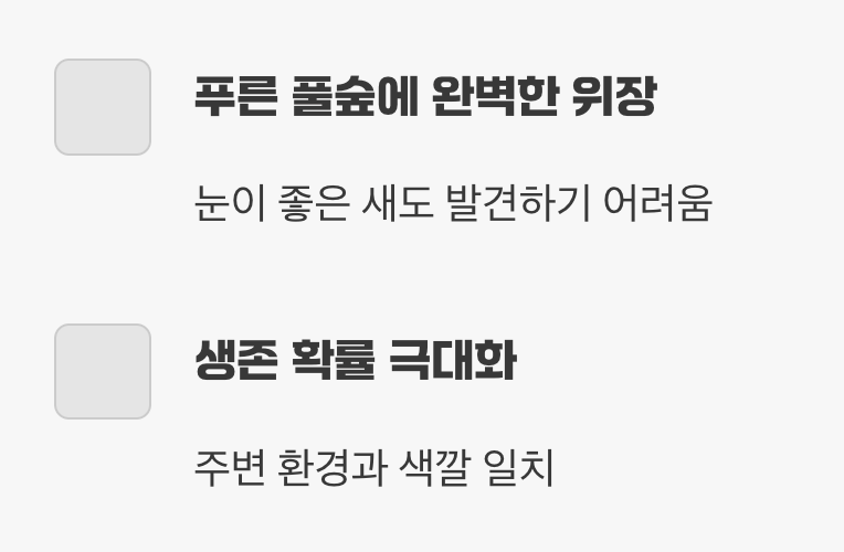 초록색 옷을 입는 이유