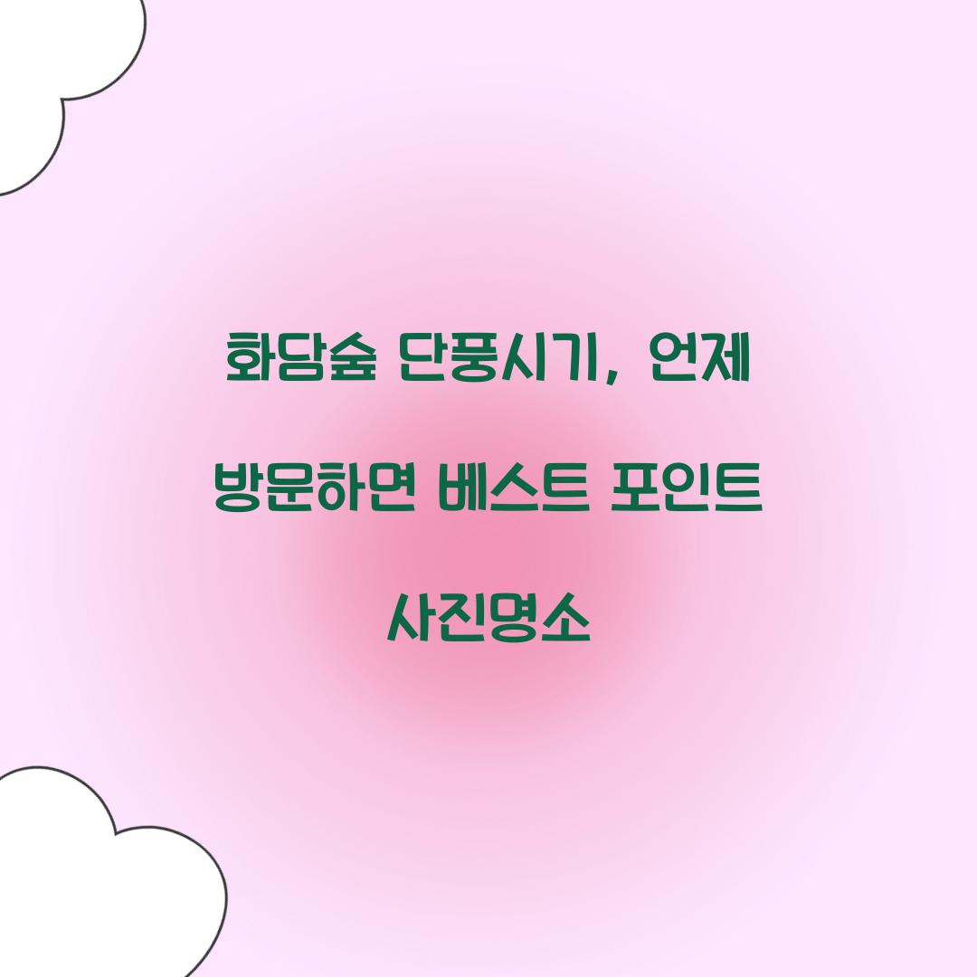 화담숲 단풍시기