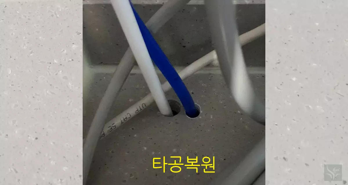타공복원