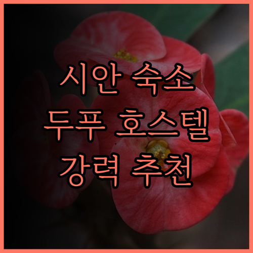 Shiyan Dufu Youth Ho