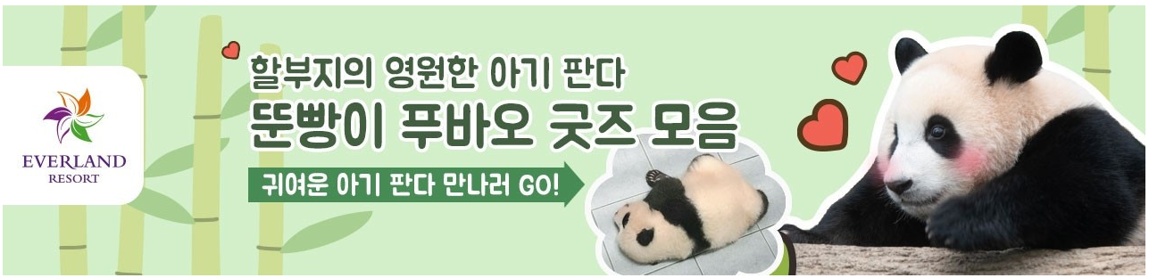 푸바오 굿즈 모음 보기