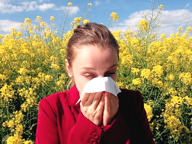 봄 알레르기 비염 - 반갑지 않은 봄 손님