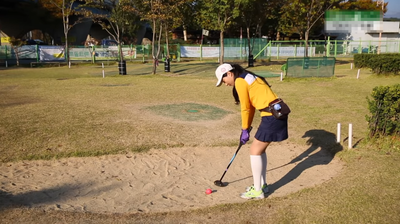 파크골프 샷 스탠스 정렬방법, 샷의 종류