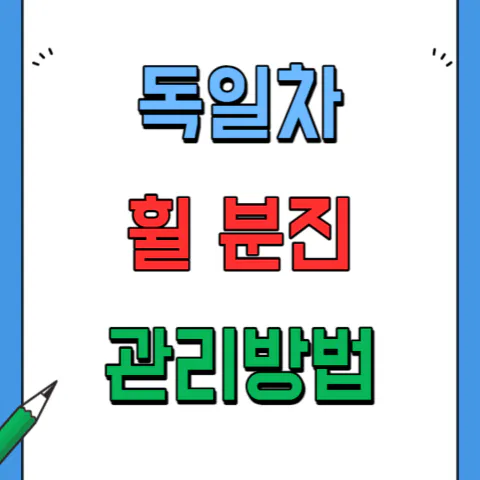 독일차 휠 분진 생기는 이유와 철분 제거 방법