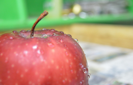 냉장고 속 식재료를 강한 재료로 교체하는 루틴