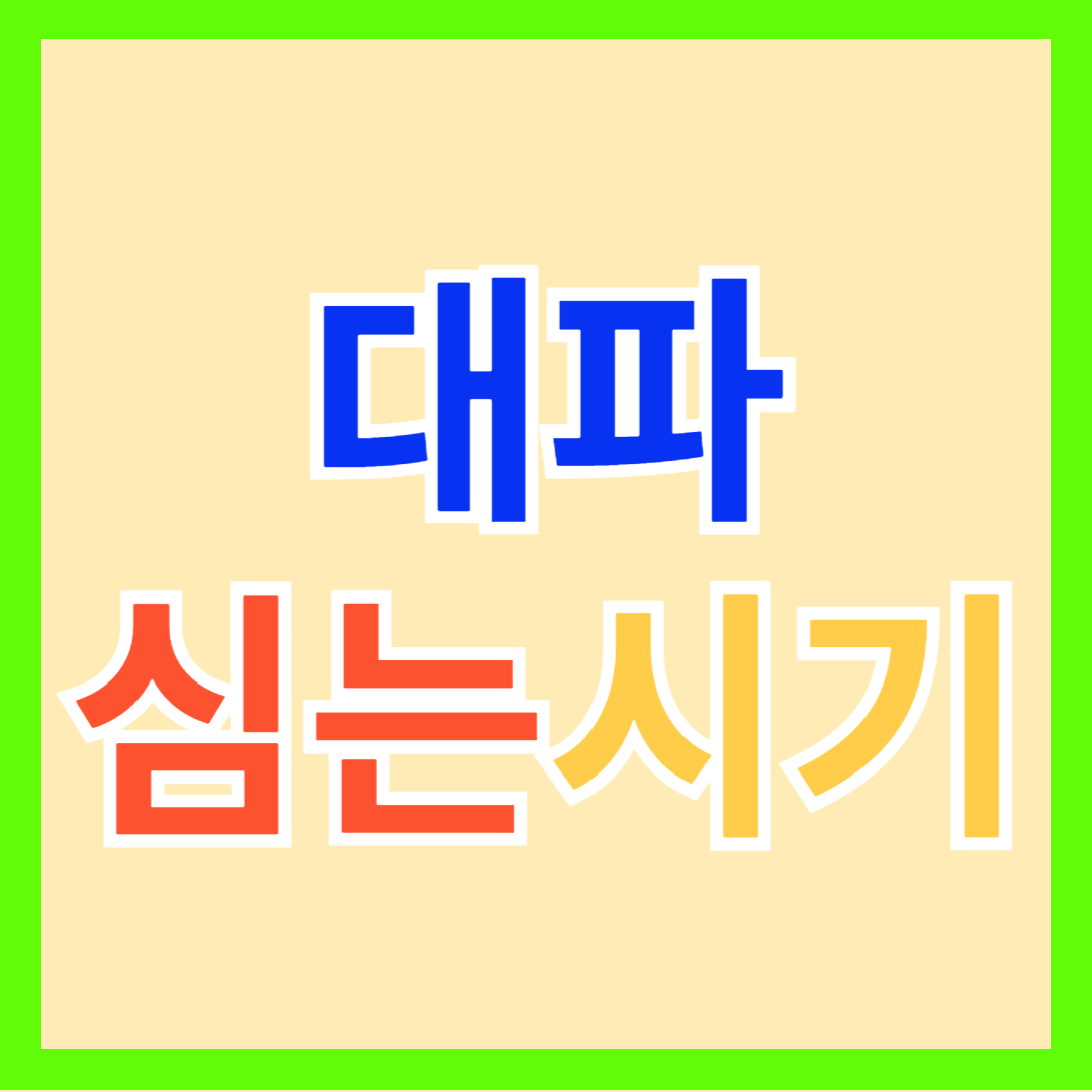 대파 모종, 파종, 심는 시기, 키우기 방법