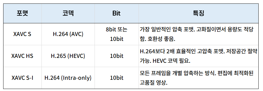 소니 미러리스 카메라 영상 포맷
