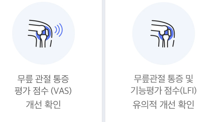 콘드로이친에 대한 종합 가이드: 효능, 복용량