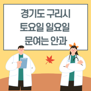 경기도 구리시 토요일 일요일 안과 진료 문여는 병원 리스트