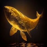 검정-바탕에-자태를-뽐내는-멋있는-황금-돌고래