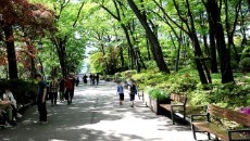 청와대 관람 신청(2025) 예약 방법 사진