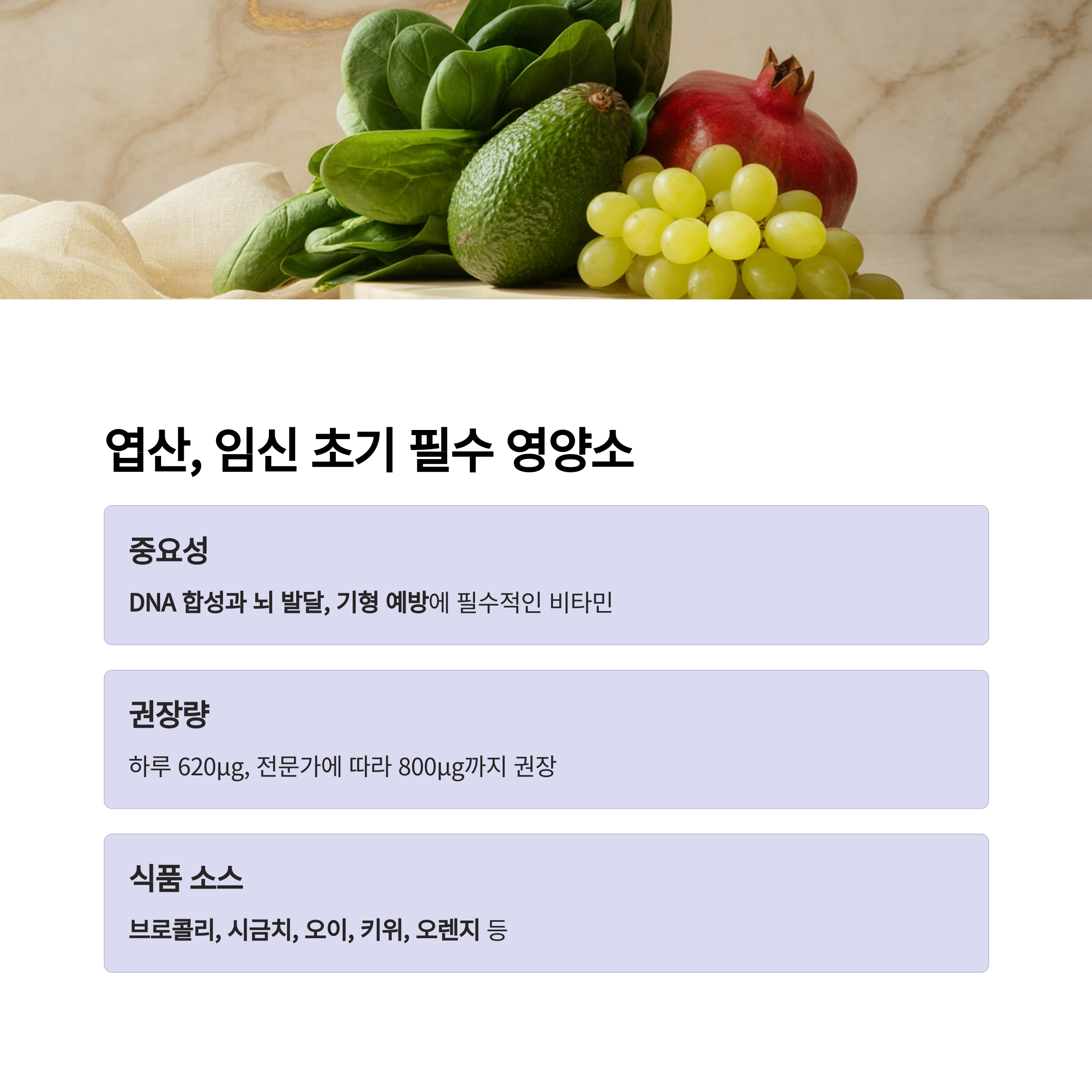 엽산의 중요성과 권장 섭취량, 식품 소스를 설명한 임신 초기 영양소 안내 이미지