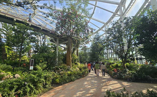 2025 순천만국가정원 입장료 추천코스 스카이큐브 순천여행 근처맛집 현지인추천 맛집 주차장 동문 서문 편의시설 예약 정원해설