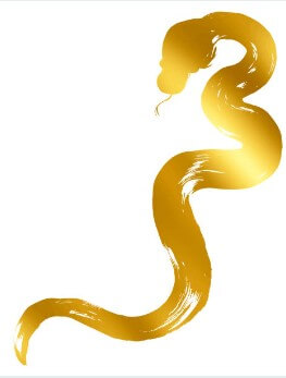 2026년 뱀띠 금전운