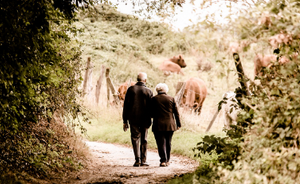 40대-50대-노후-준비-자금-계획-노후대비-유망자격증