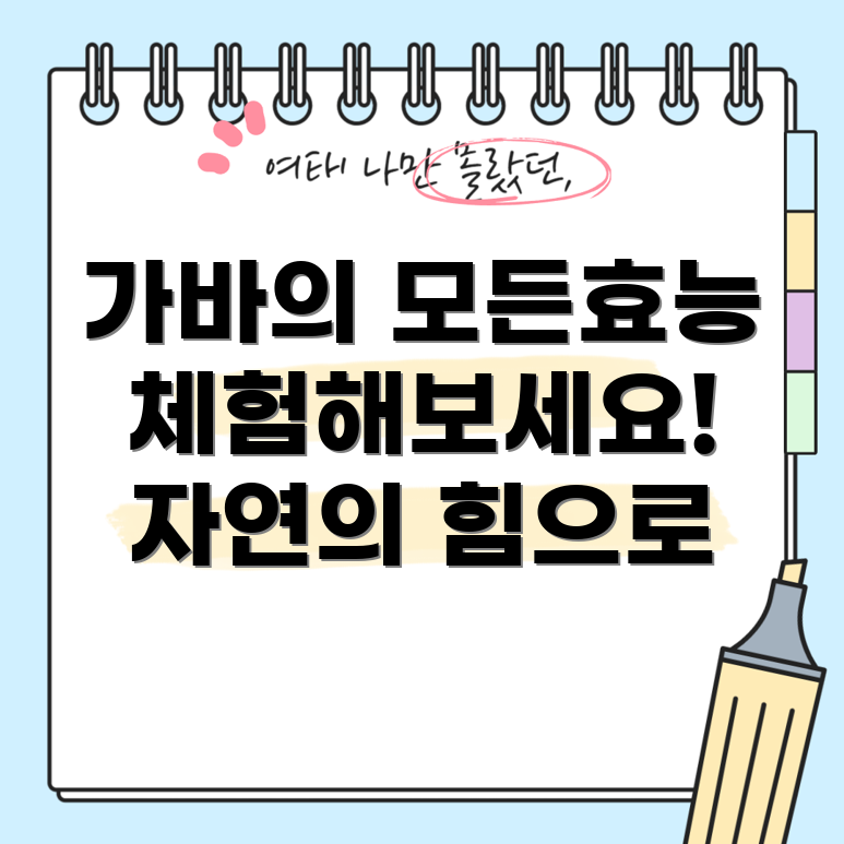 가바 효능