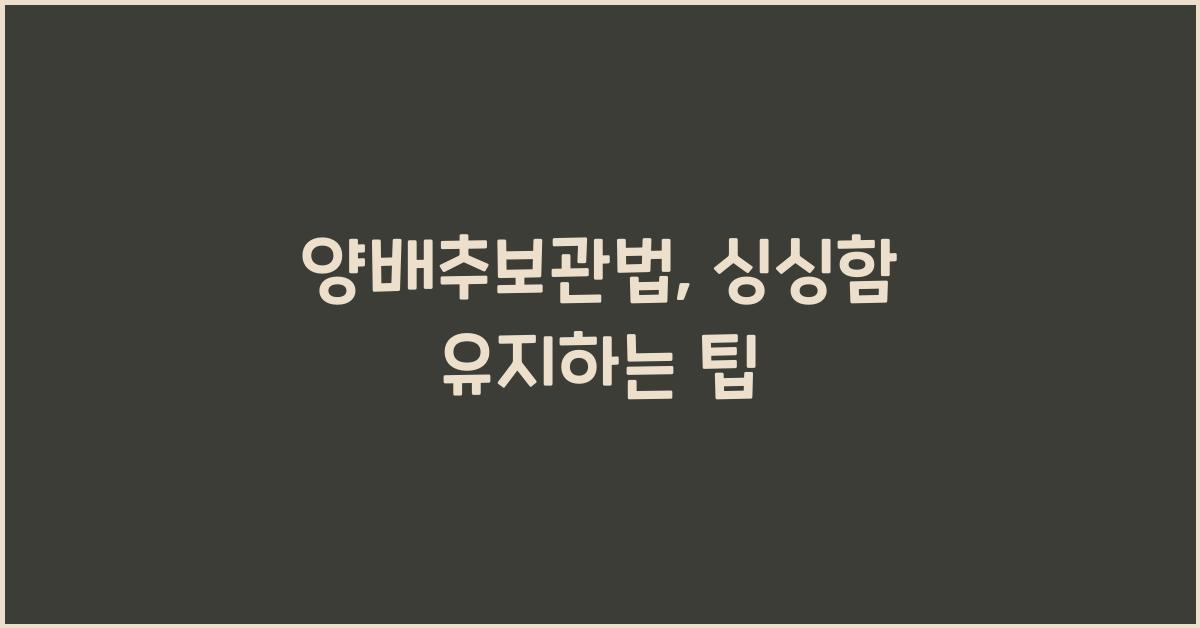 양배추보관법