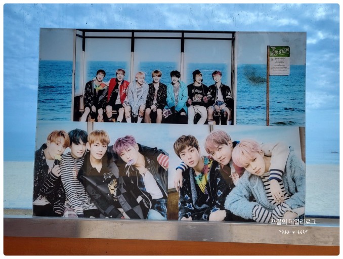 강릉 핫플레이스