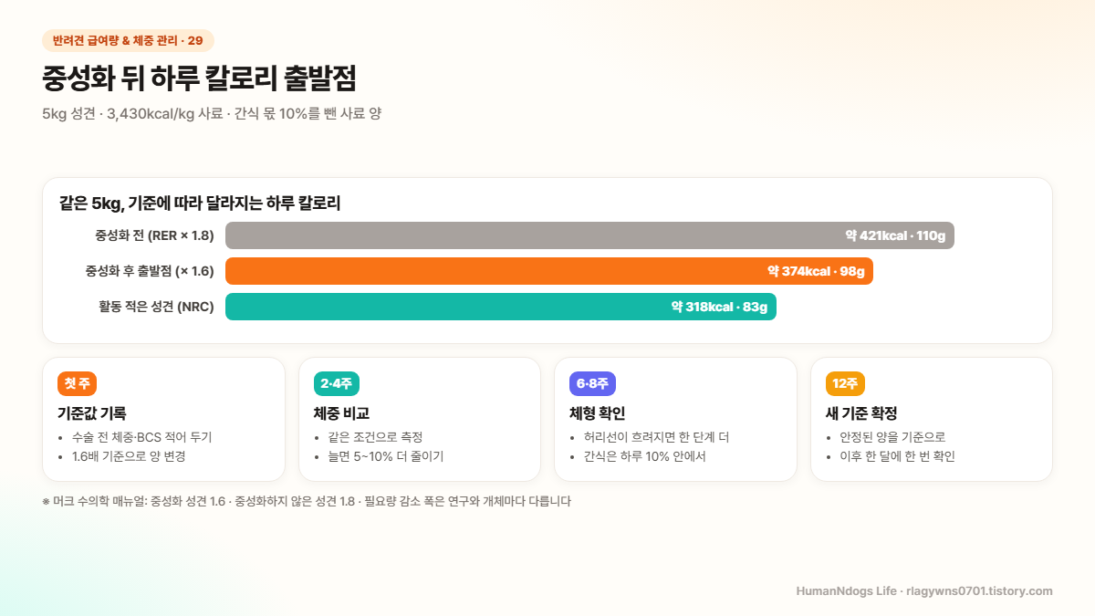 중성화 후 하루 칼로리 도식 &mdash; 5kg 성견 기준 중성화 전 421kcal, 후 374kcal, NRC 318kcal