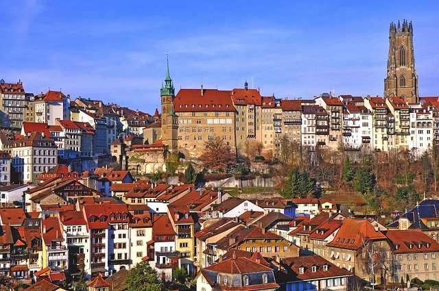 프라이부르크 이미지